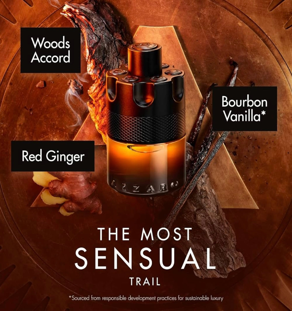 Azzaro The Most Wanted Parfum / Eau de Parfum Intense